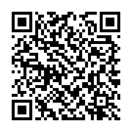 UPI QR code — scan to pay FutureTech Icon